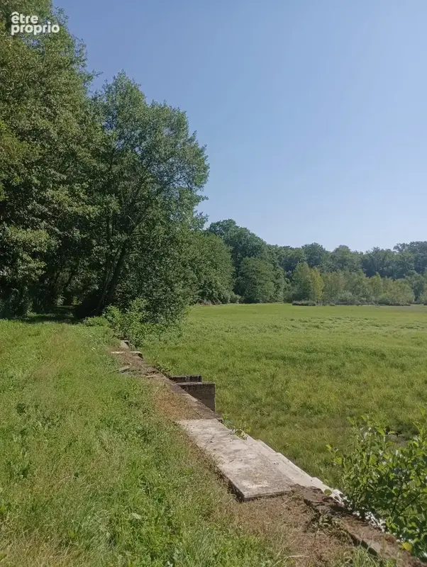 Vente étang de 11 ha environ sur terrain de 14 ha environ AILLONCOURT (70) - photo 15