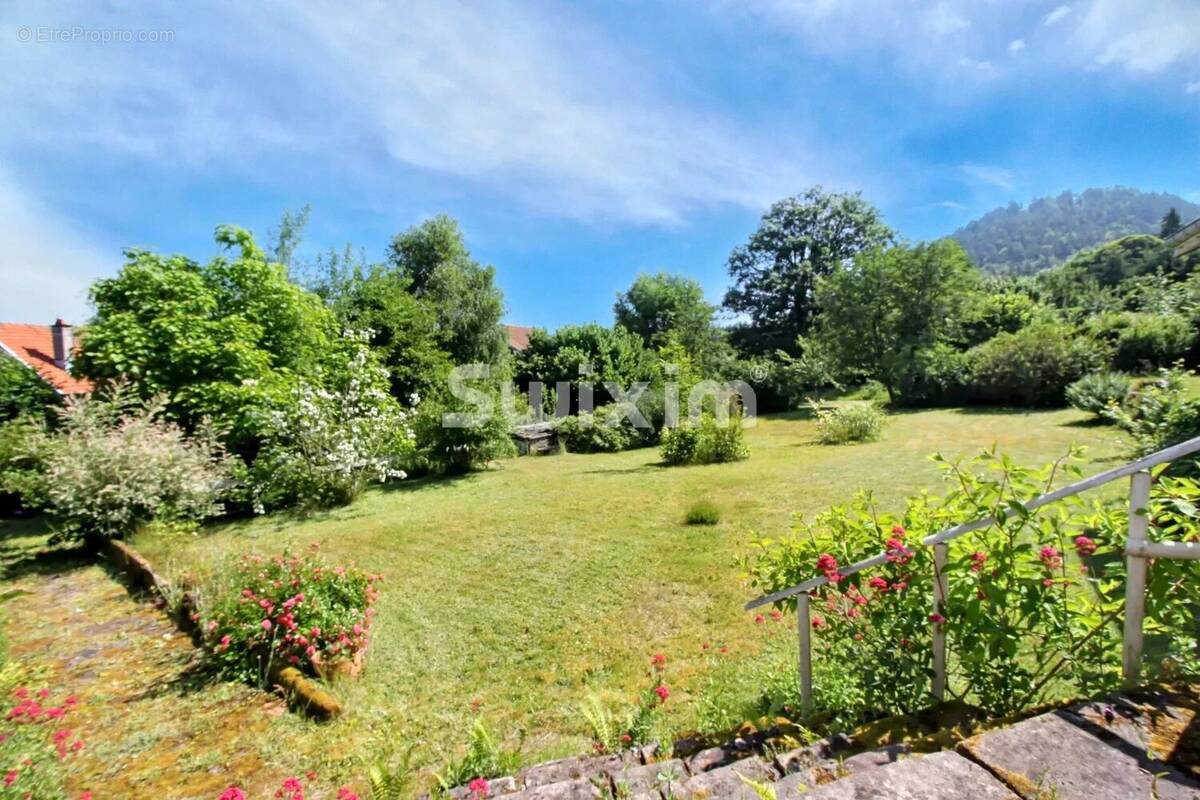 Maison 367 m² à Bruyeres  - photo 1