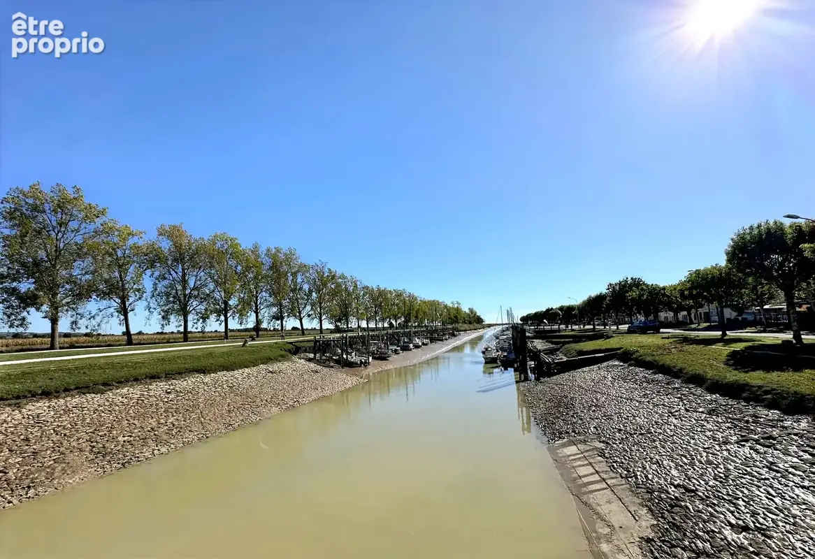 Propriété du 19e - deux logements indépendants - piscine et terrain de 1,1 ha – estuaire de la gironde. - photo 31