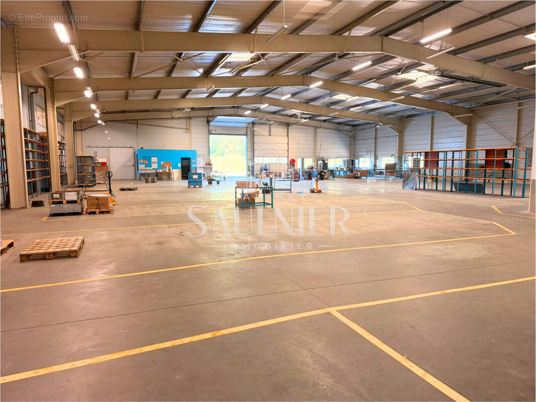 En sortie de Montrichard, A vendre locaux commerciaux et industriels. - photo 10