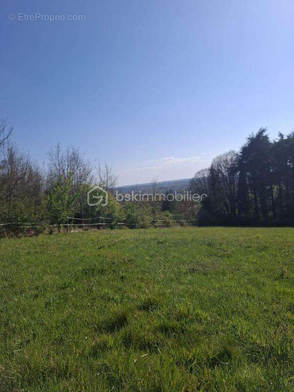 Propriété à rénover – plus de 200 m² – 6 hectares - photo 8