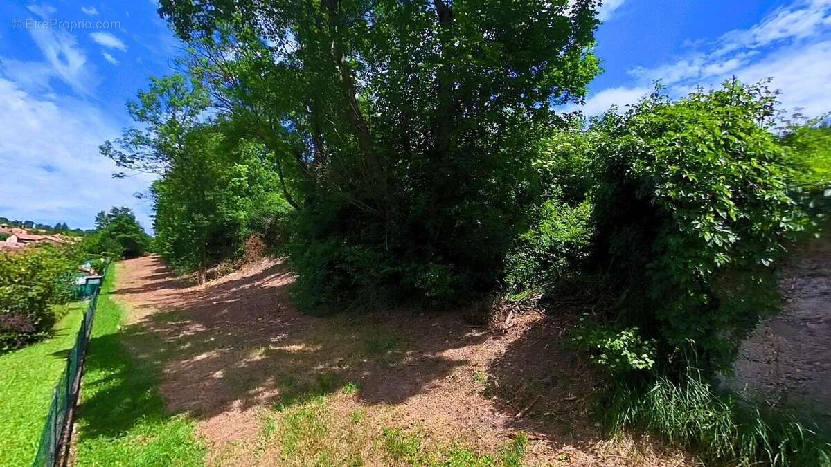 Photo 8 - Terrain à JARRIE
