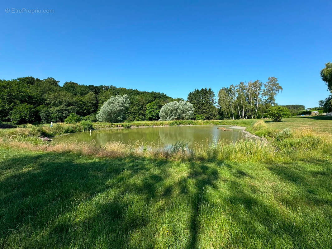 Propriété avec étangs, maison de plain pied au cœur de 3 hectares - photo 17