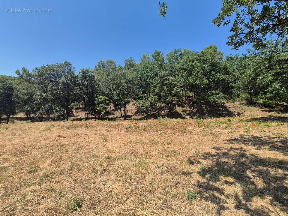 Terrain à TARADEAU