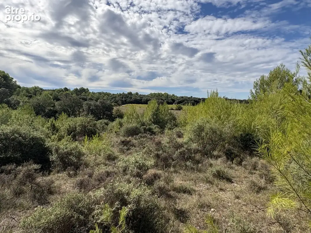 Terrain 3 660 m² à vendre à Saint-Mamert-Du-Gard (30730) - photo 4