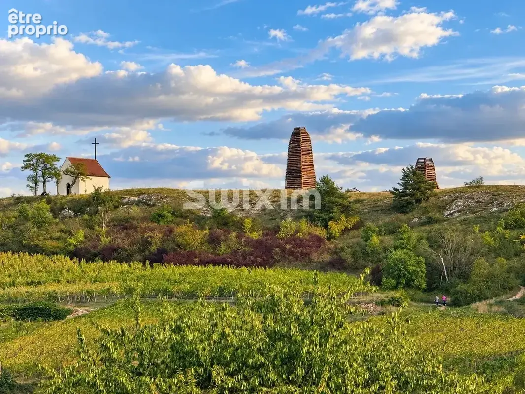 ORSCHWIHR – Terrain constructible de 12,90 ares – Projet résidentiel - photo 5