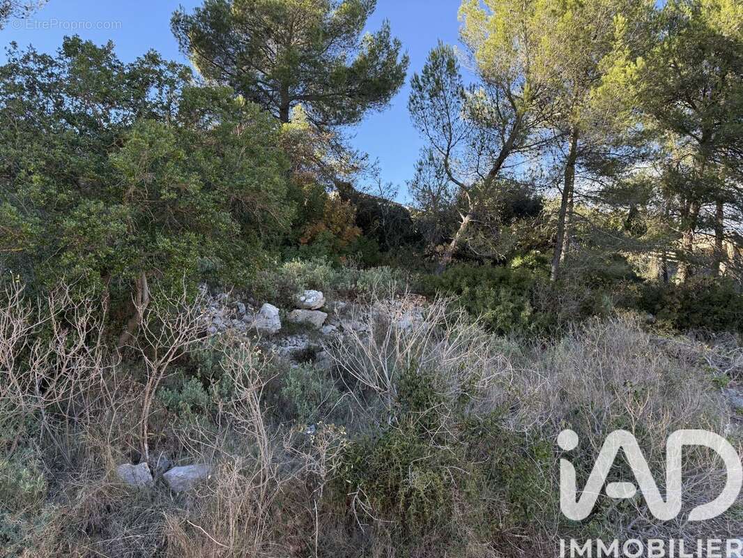 Photo 2 - Terrain à LE LUC