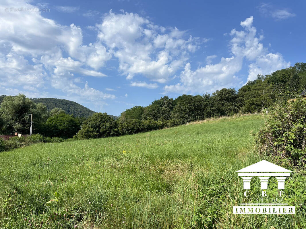 Terrain à SAINT-SERNIN-DU-BOIS