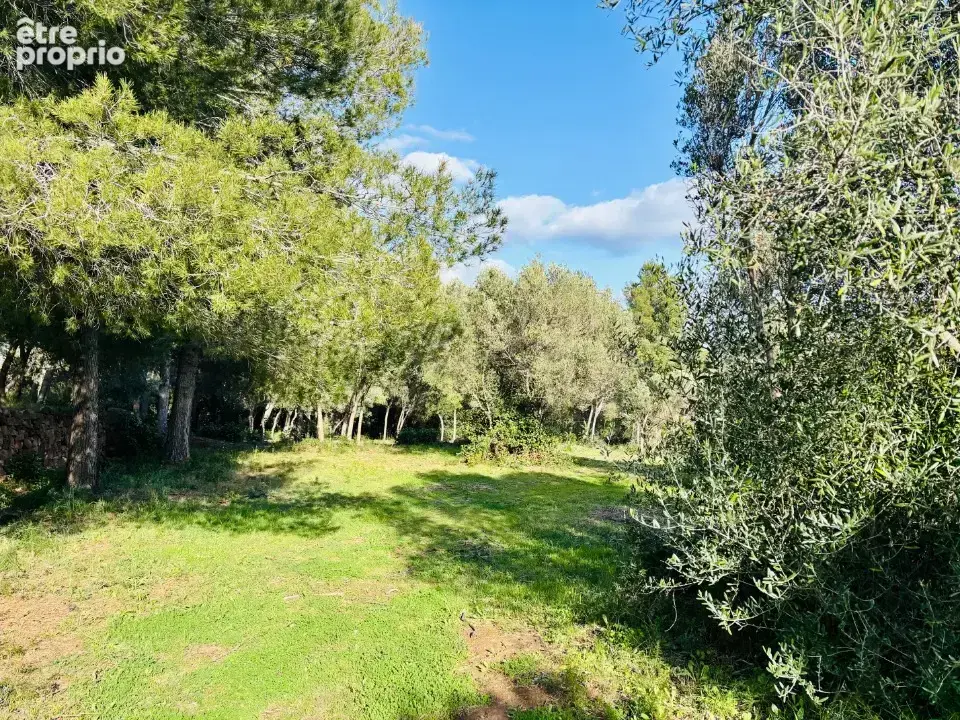 Terrain 769 m² à Ollioules  - photo 5