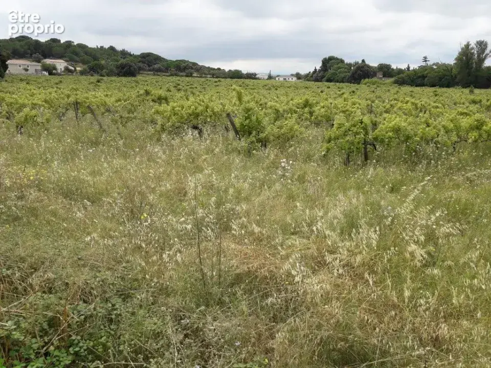 Terrain à BIZANET