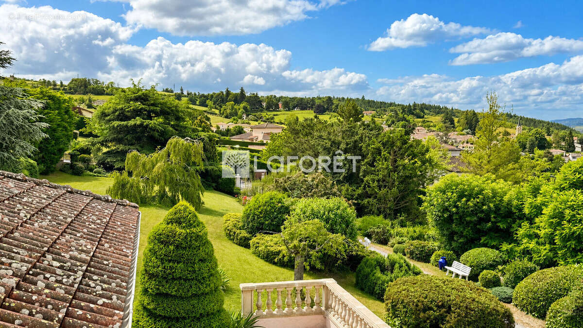 Maison Eveux 4 pièce(s) 130 m2 - 2381m2 terrain - photo 15