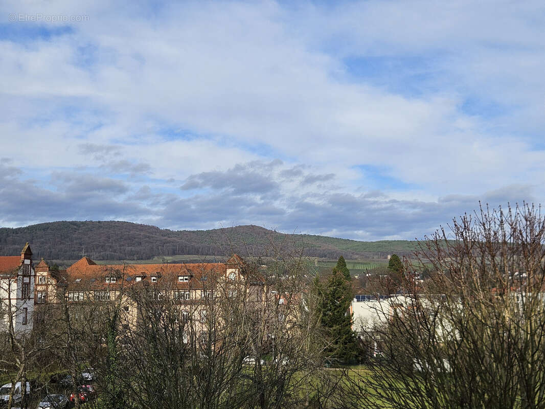 Appartement à WISSEMBOURG