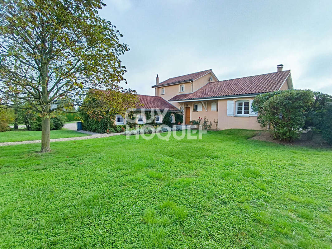 Maison à BOISSET-LES-MONTROND