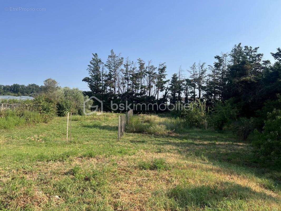 Maison à CHATEAUNEUF-SUR-ISERE