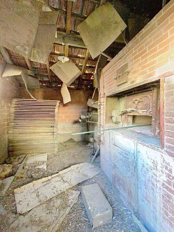 Photo 3 - Maison à ALBI