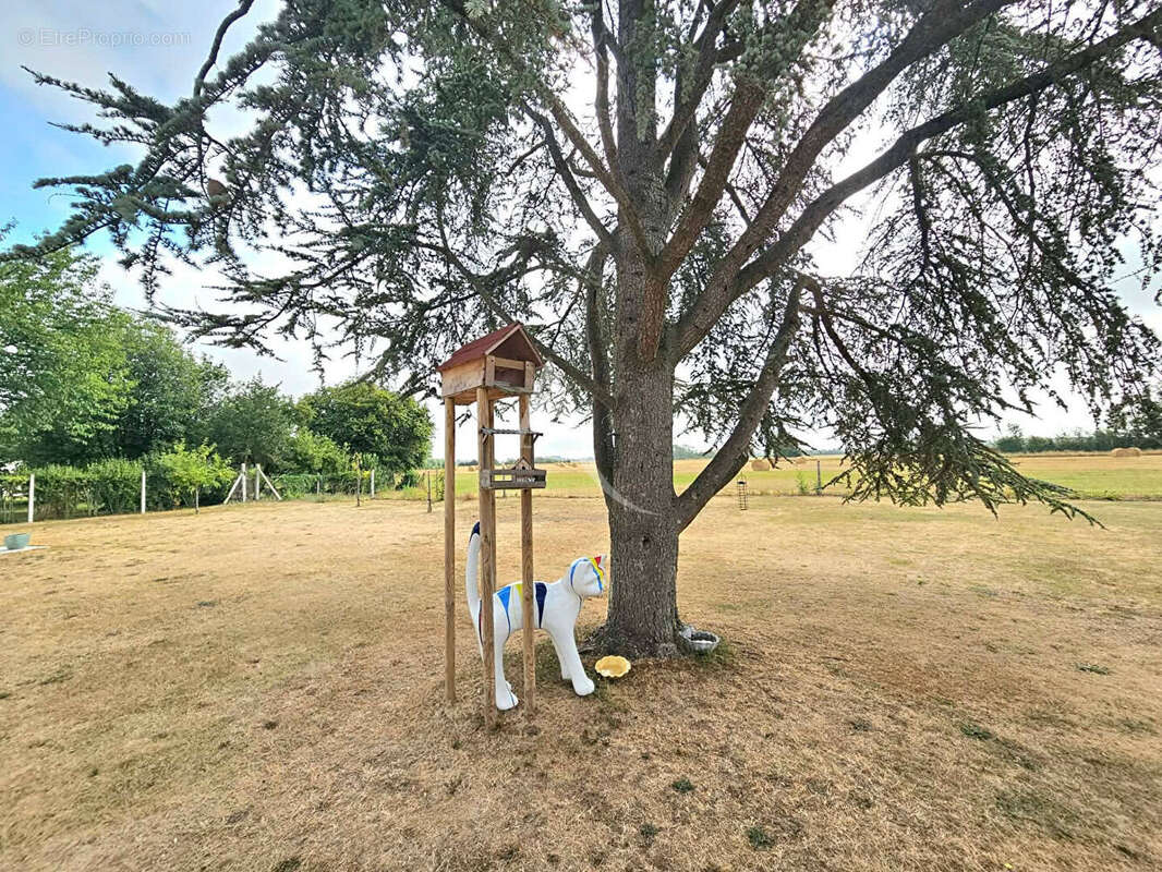Maison de charme avec chambre d'hôte 4 km de la plage de Quend ? Environnement calme - photo 12