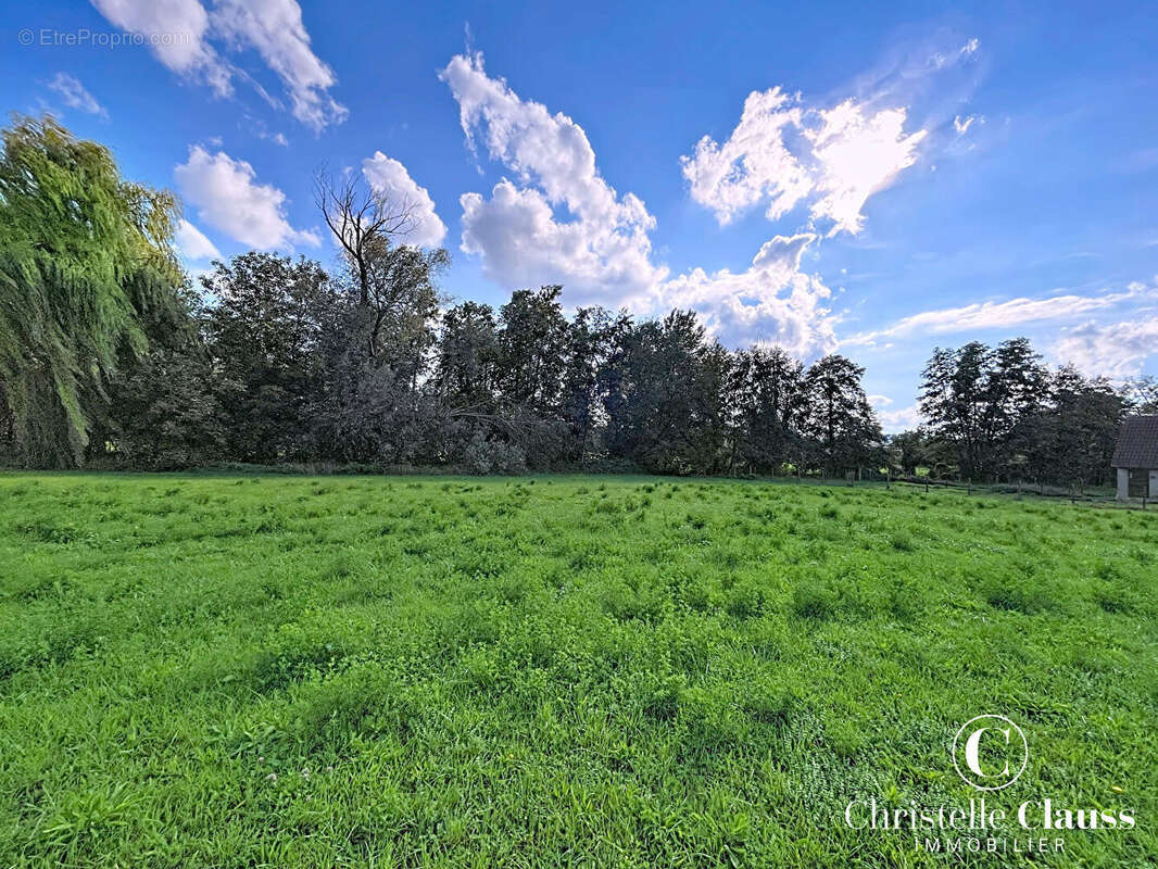 Terrain à PFAFFENHOFFEN