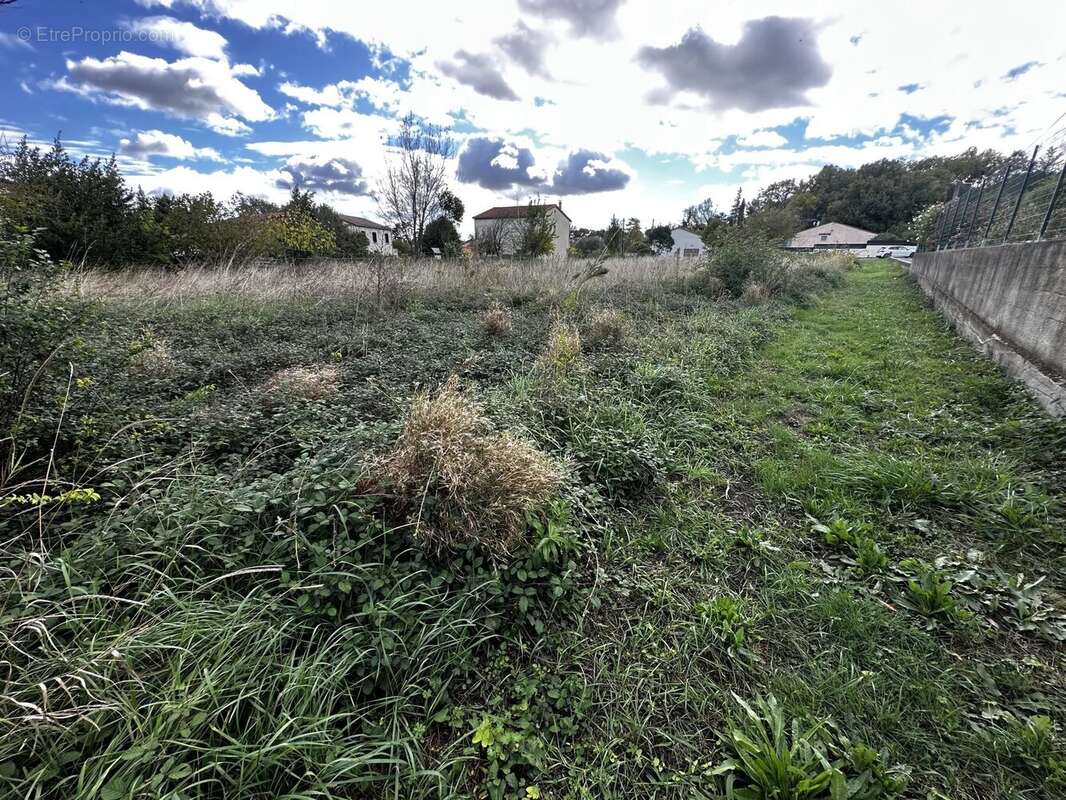 Terrain à SAINT-HILAIRE-DE-BRETHMAS