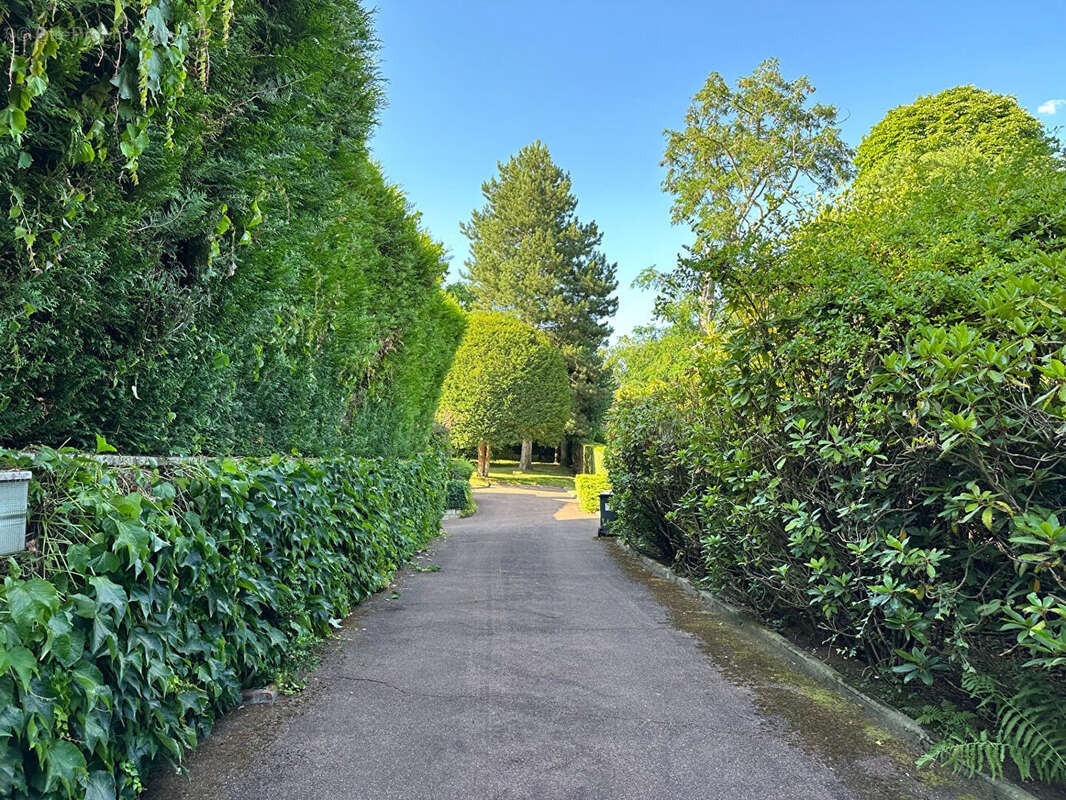 Terrain à LA CELLE-SAINT-CLOUD