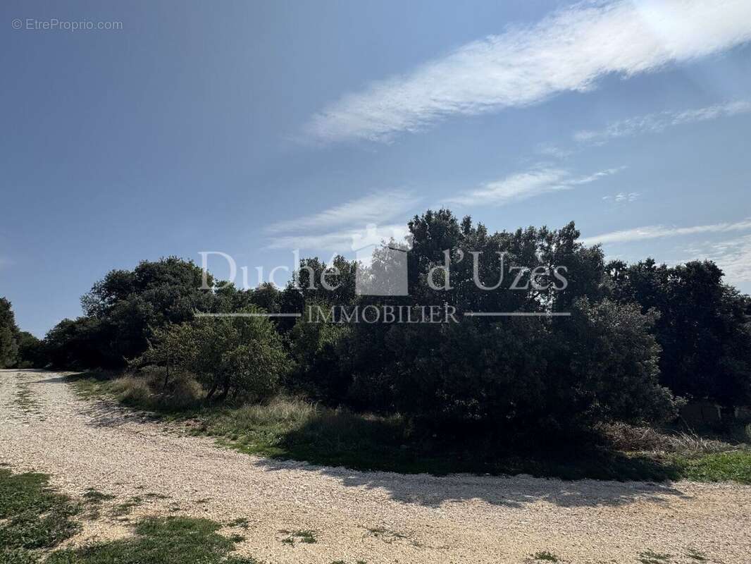 Photo 5 - Terrain à UZES