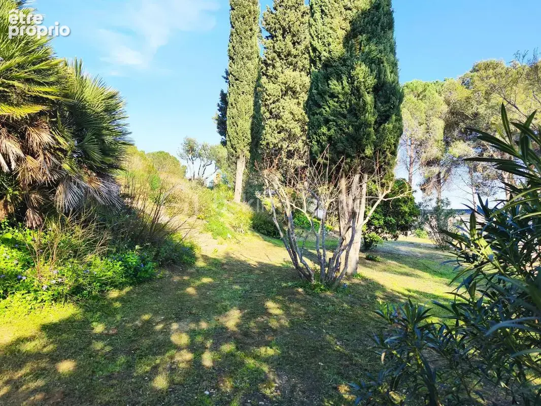 Domaine en mediterranee 2 hectares - photo 10