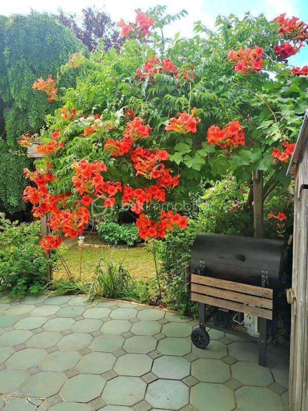 Maison à NOISY-LE-ROI