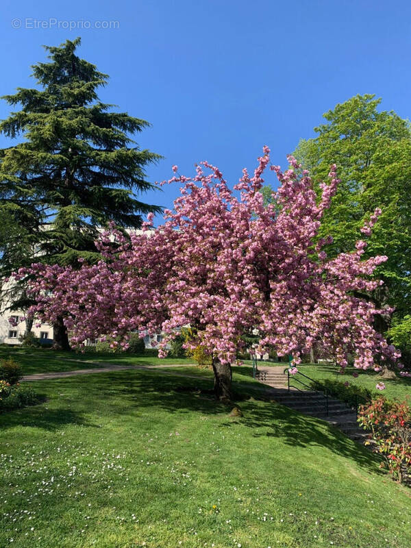 Appartement à SAINT-CLOUD