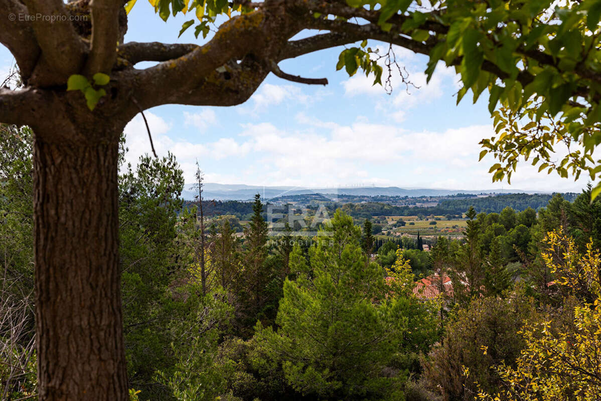 Maison à BIZE-MINERVOIS