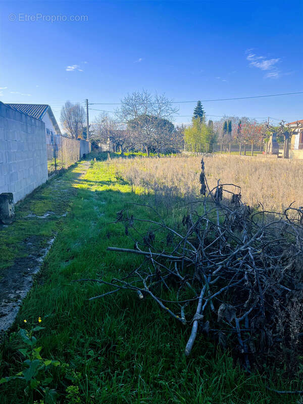 Terrain à LA TOUR-DU-CRIEU