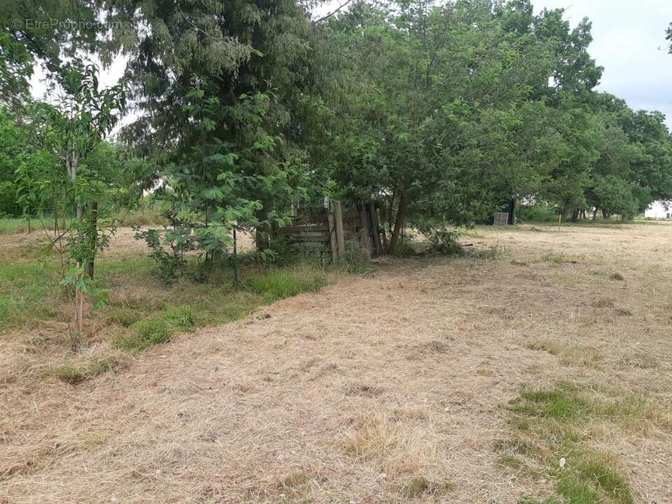 Terrain à FABAS