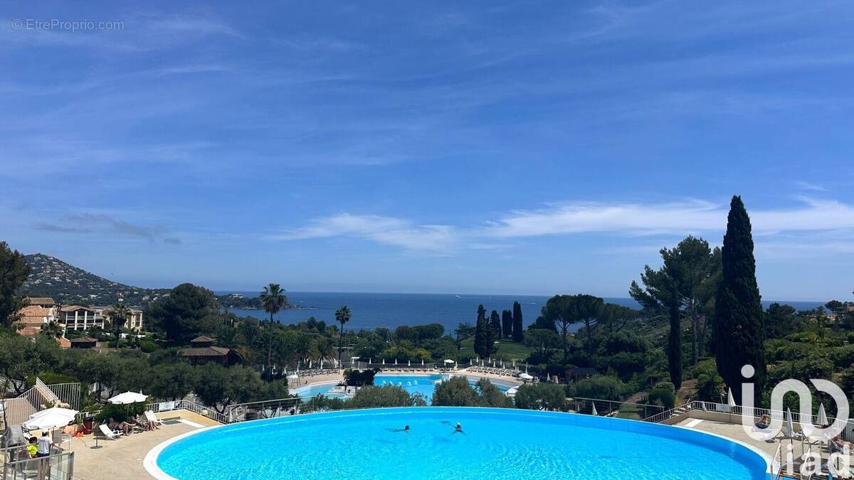 Photo 1 - Appartement à LA SEYNE-SUR-MER