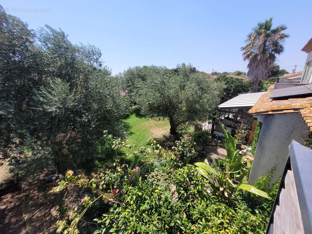 Coursan Villa de type 5 de 200 m2 habitable, plus un appartement de type 2 indépendant de 60 m2, piscine sur u - photo 33