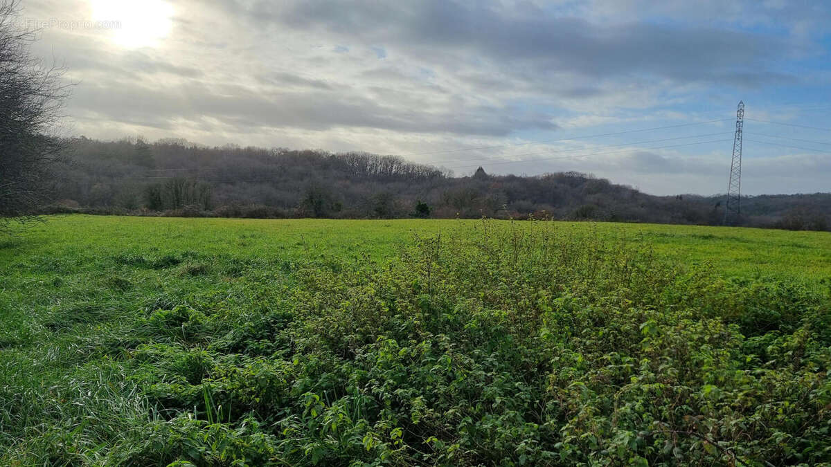 20241221_152432 - Maison à SAINT-FRONT-SUR-NIZONNE