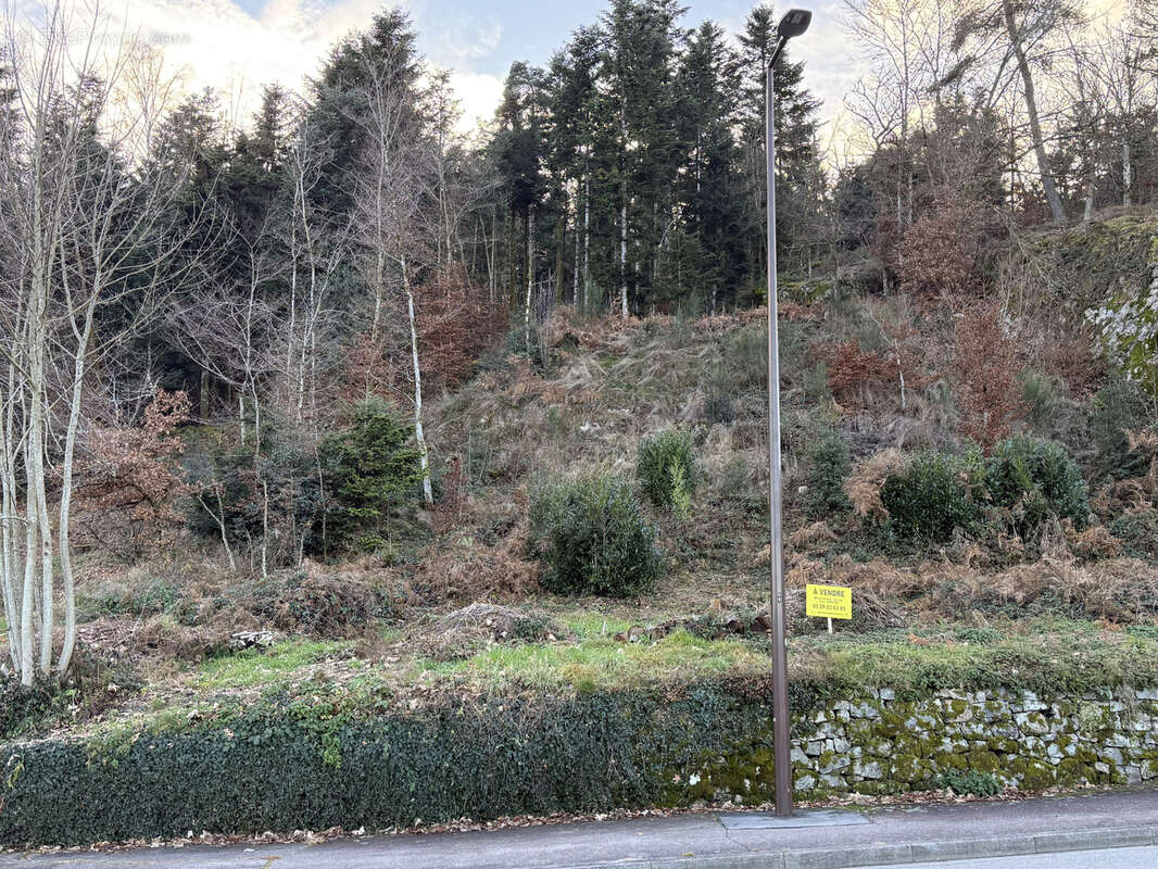 Terrain à SAINT-NABORD