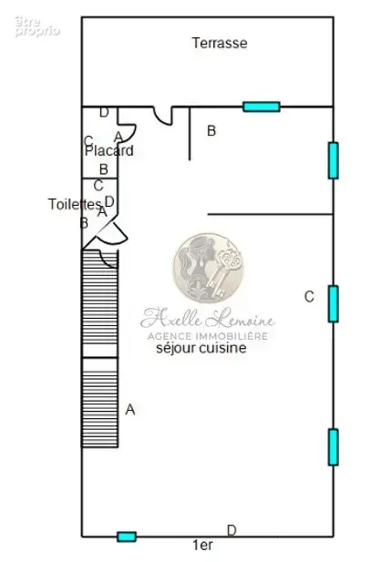 Saint-Martin-la-Plaine   Maison de village de caractère avec terrasse de 30m2 ombragée au cœur du village - photo 12