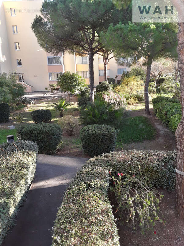 Appartement à LE GRAU-DU-ROI