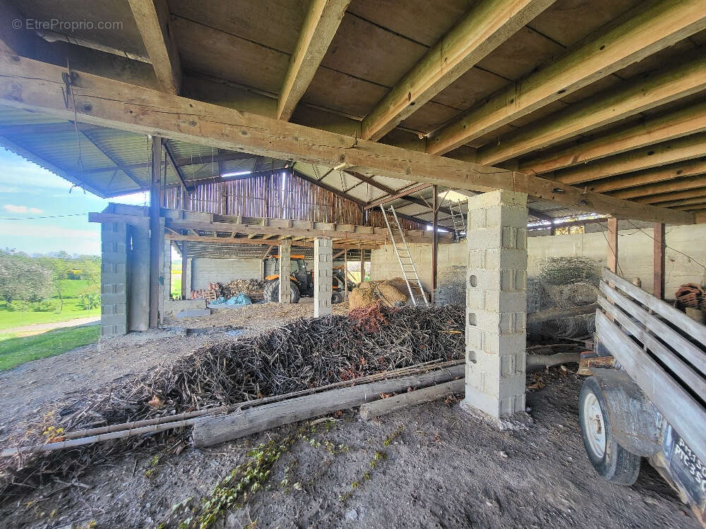 Maison à CHATILLON-SUR-CHALARONNE