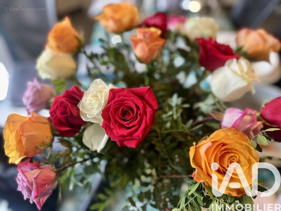 Photo 8 - Maison à SAINT-LAURENT