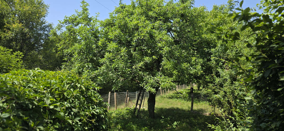Terrain à VILLEBEON