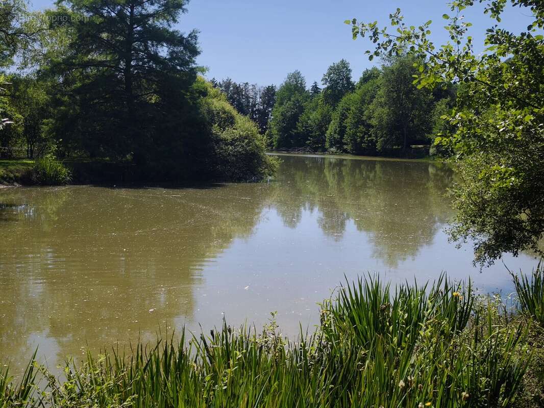 Maison d’Architecte avec Piscine Intérieure et Parc Privé de 6 Hectares - photo 15