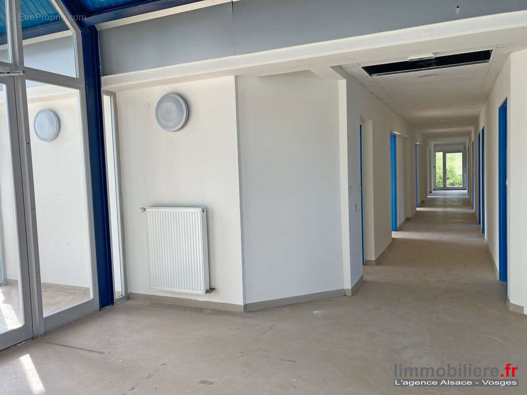 Commerce à SAINTE-MARIE-AUX-MINES