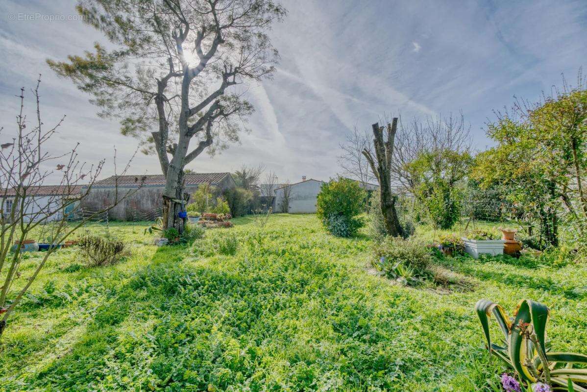 Maison à SAINTE-MARIE-DE-RE