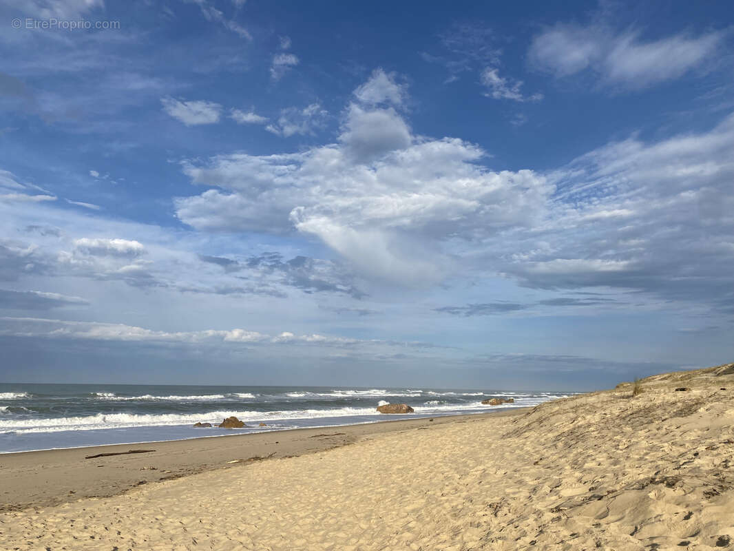 Maison à LEGE-CAP-FERRET