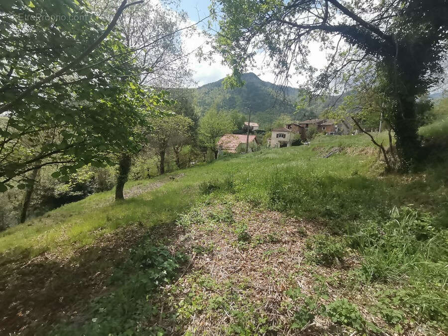 Terrain à LA BOLLENE-VESUBIE