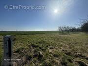 Terrain à SAINT-MAXENT