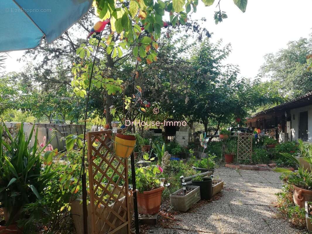 Maison à AIGUES-MORTES