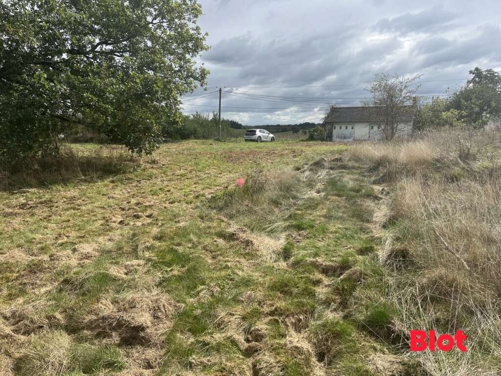 Terrain à SAINT-THURIAL
