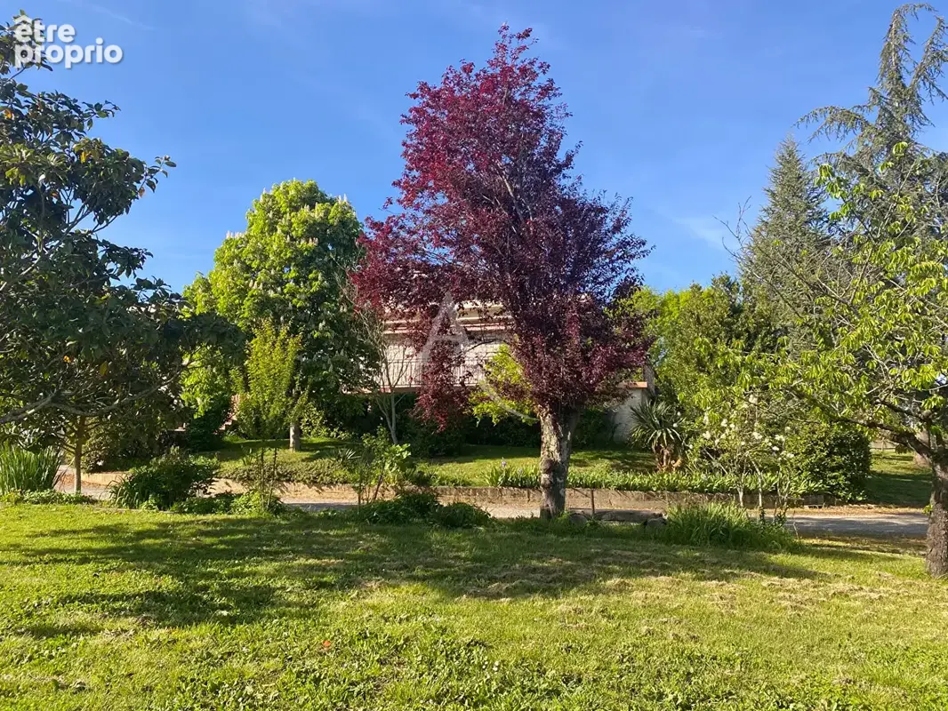 Maison à MONTRABE