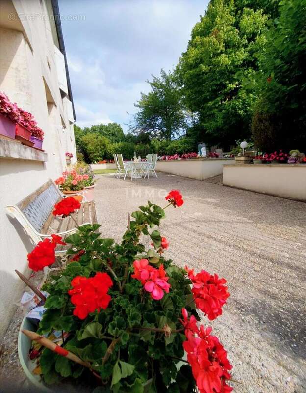 Maison à SAINT-FORT-SUR-GIRONDE
