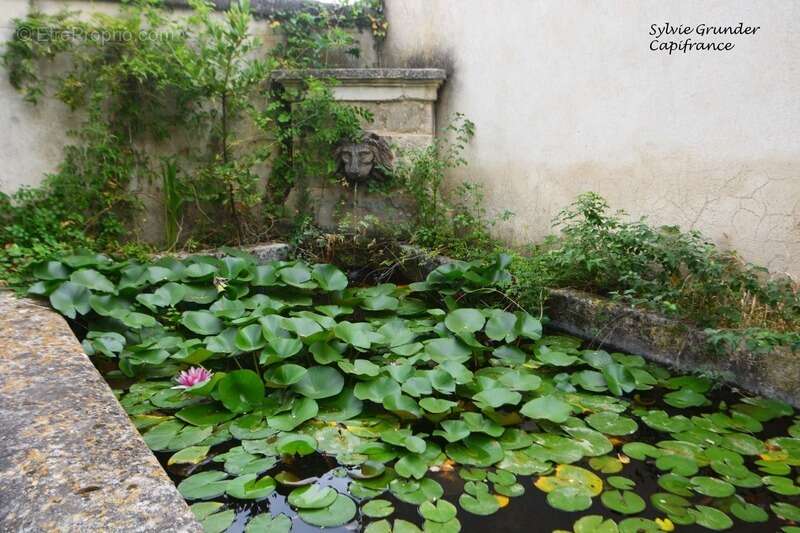 Propriete à vendre 7 pièces RAPHELE LES ARLES (13) 240m² évolutif sur 3300 m² avec piscine - photo 20
